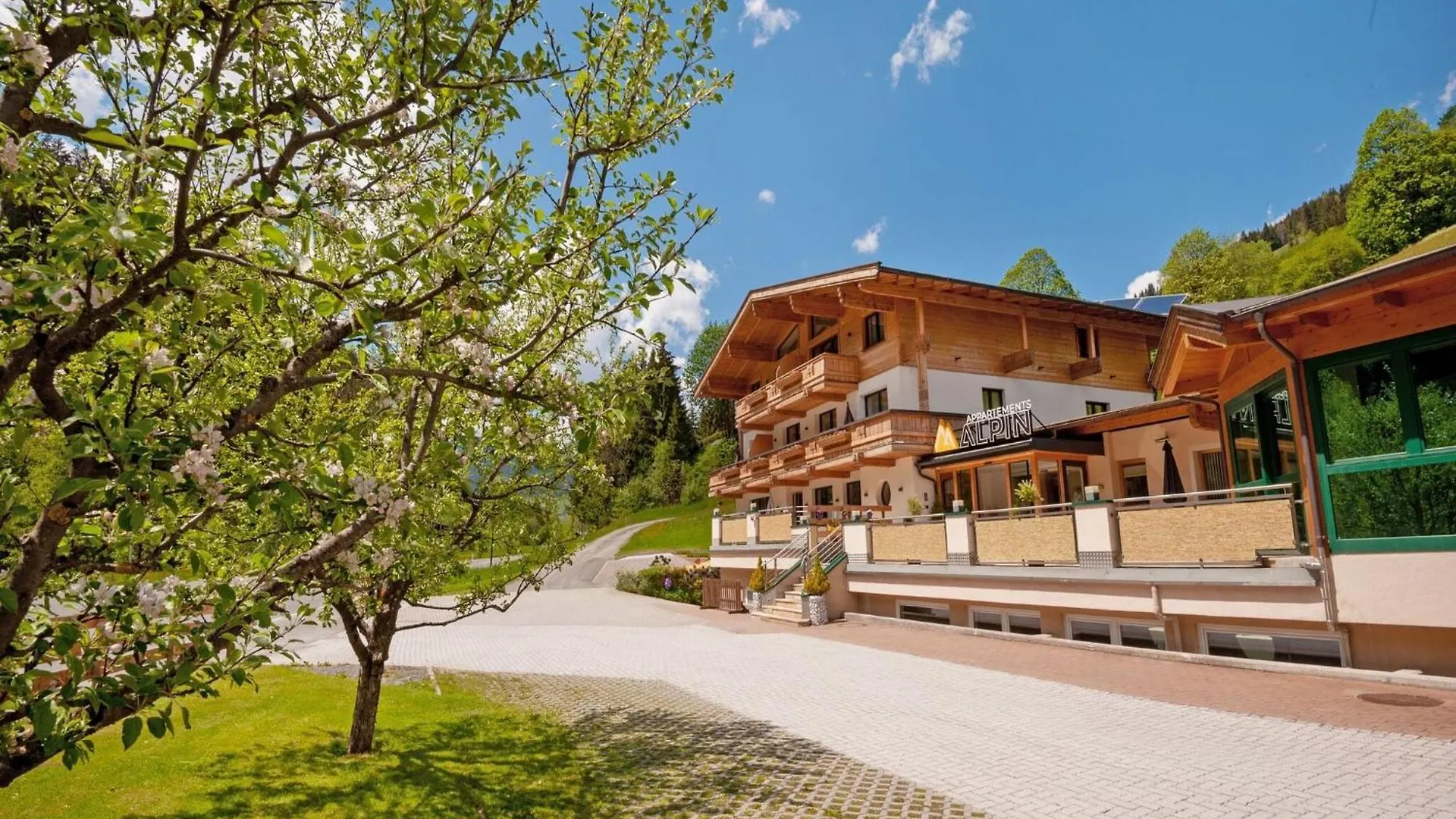 Ravishing Apartment In Saalbach With Sauna Near Ski Slopes 잘바흐 힌터글렘